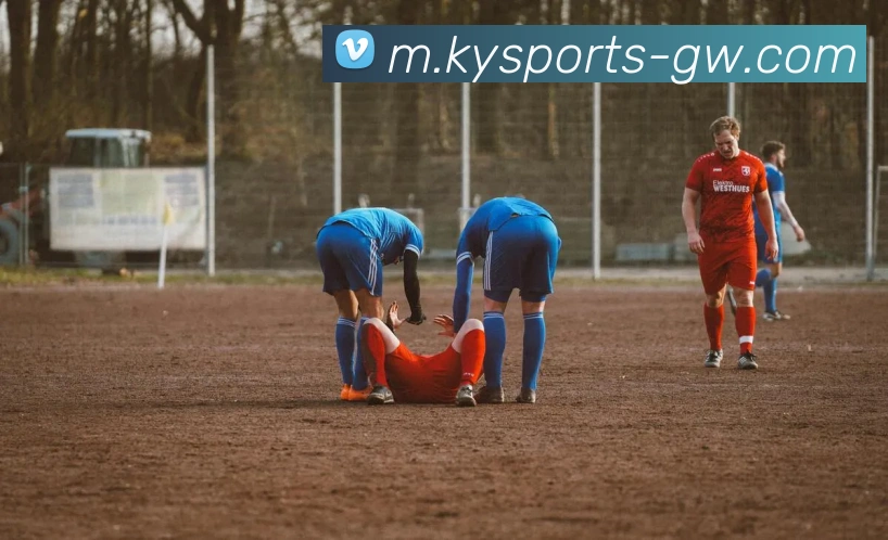 开云体育服务体系